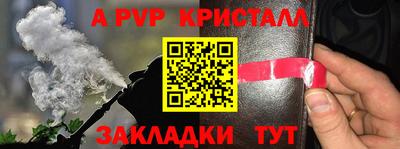 дурь Камышлов